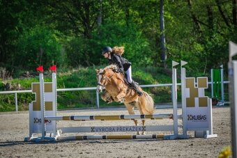Kllisna hafling, Pony B - 4