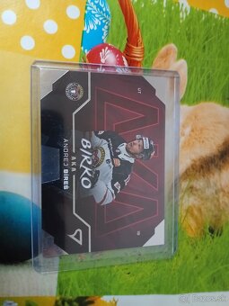 Hokejove karticky - 4