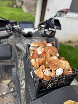 CF moto gladiator 850 G3 - 4