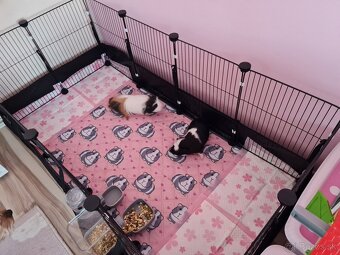 Klietka pre morčatá - 4