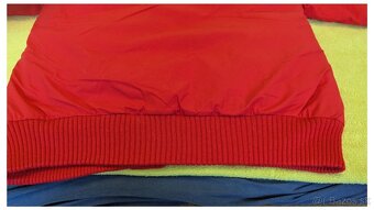 Pánska zimná bunda The North Face Vintage - 4
