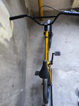 BMX Kink Curb matte Gold leaf - 4