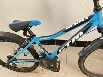 CTM Berry 2.0 20” - 4
