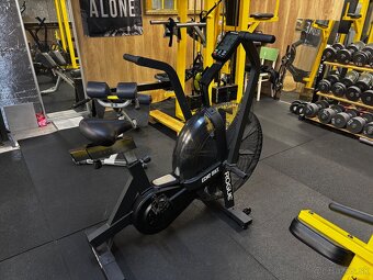 Rogue Echo bike - 4