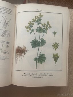 Slovenský herbár I a II.zväzok - 4