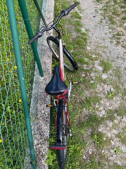 Damsky bicykel Dema vel kolies 26 - 4