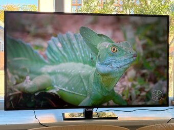 Philips 50PUT6400/12 UHD Smart 127cm Android - 4