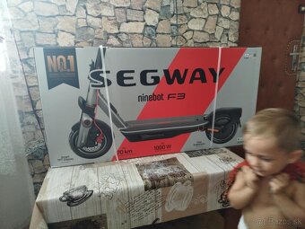 segway 1000w - 4