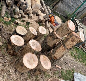 Štiepané bukové drevo - 4