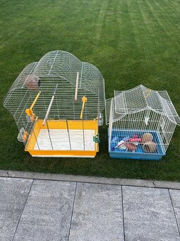 Klietka pre papagaje - 4