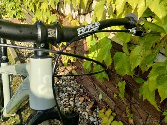 CTM dirtking 2024 - 4