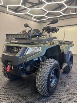 Arctic cat - 4
