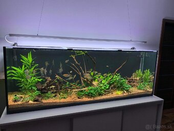 WRB led osvetlenie akvaria 300cm/180w - 4