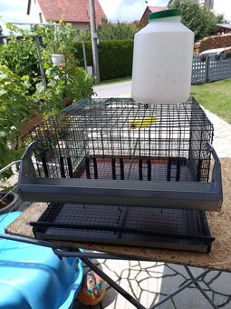 Predám menšiu klietku pre prepelice - 4