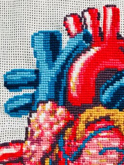 Krížiková výšivka/ obraz Anatomické srdce - 4