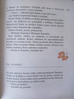 Hľadajte Šamiska (Anna Minichová) - 4
