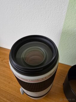 Canon 100-400mm f/4.5-5.6 L IS USM II - 4