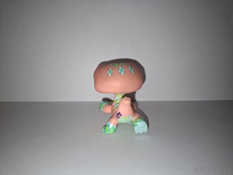Littlest Pet Shop krokodíl #1853 - 4