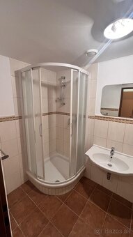 NEBYTOVÝ PRIESTOR na prenájom - 4