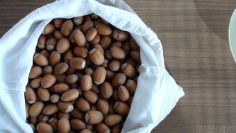 Lieskové orechy nelúpané - 4