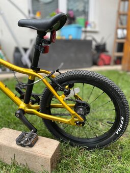 Rascal ‘16 GOLD - 4