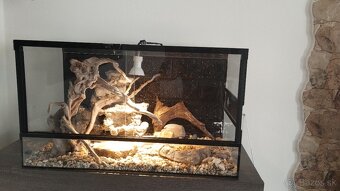 Terarium - 4