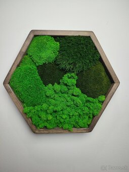 Machový obraz HEXAGON - 4