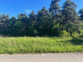 Predaj stavebného pozemku 1002 m² – Trebostovo, pod lesom - 4