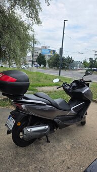 Honda Forza 300 r.v.2013 - 4