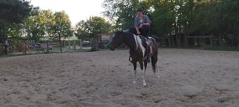 Jazdenie na koňoch - 4