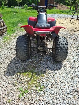 Predam yamaha warrior 350 - 4