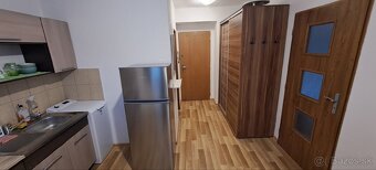 1 izbový byt na prenájom - 4