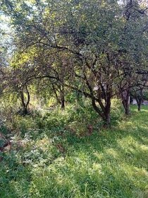 Pozemok s drev. chatkou v záhradkárskej oblasti v Plešivci - 4
