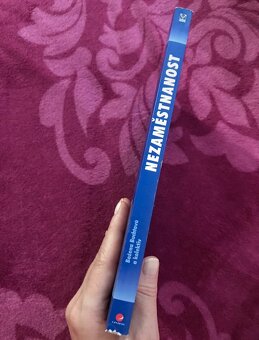 Nezaměstnanost psychologický, ekonomický a sociální problém - 4