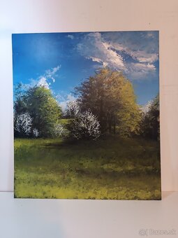 Akrylové obrazy 60x30 - 4