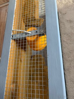 Terarium / akvarium - 4