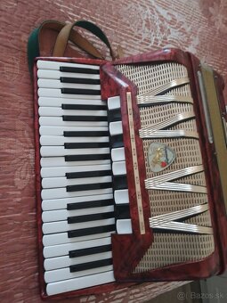 Acordeon delicia  lingature melodia 7 96 bas - 4