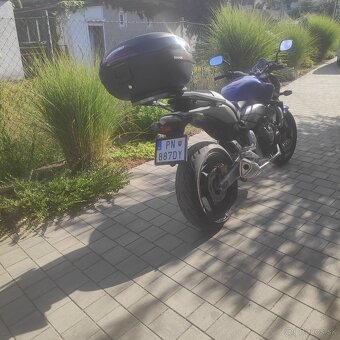 Honda Hornet 600 - 4