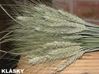 SUŠENÉ KVETY NA ĎALŠIU TVORBU - 4