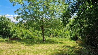 Na predaj rekreačný pozemok 2 920 m², Nové Mesto nad Váhom - 4