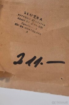 obraz starej Bratislavy - PRESBURG.......................... - 4