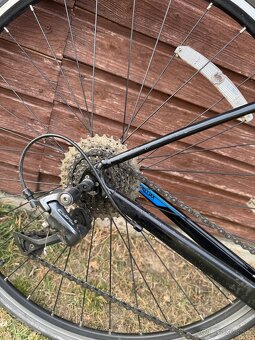 Giant Contend 2021 - 4