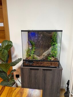 terárium s boa constrictor - 4