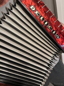 harmonika Delicia Junior IV, s originalnym púzdrom - 4