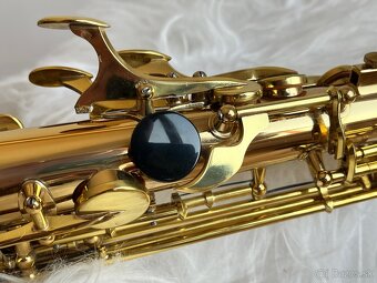 Saxofon Stewart Ellis Elite - 4