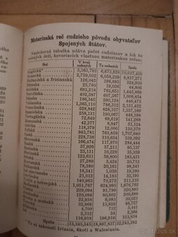 SLOVENSKO AMERICKÝ vreckový kalendár 1918 - 4