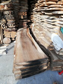 ORECHOVE DREVO, FOSNE. - 4