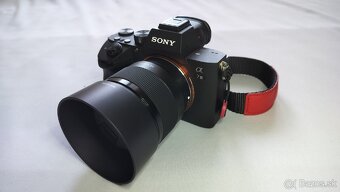 SONY A7 III + FE 28-70mm+Sony FE 50mm F1.8 - 4