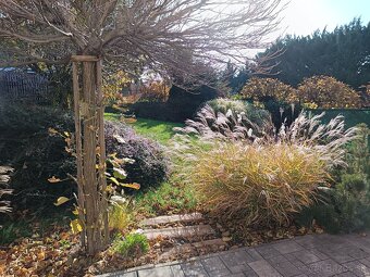 Predaj 4 izbový RD Nitra Zobor, pozemok 449 m2 - 4