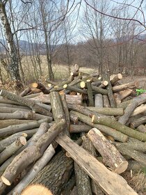 Palivove drevo tvrdé buk dub rôzne dĺžky - 4